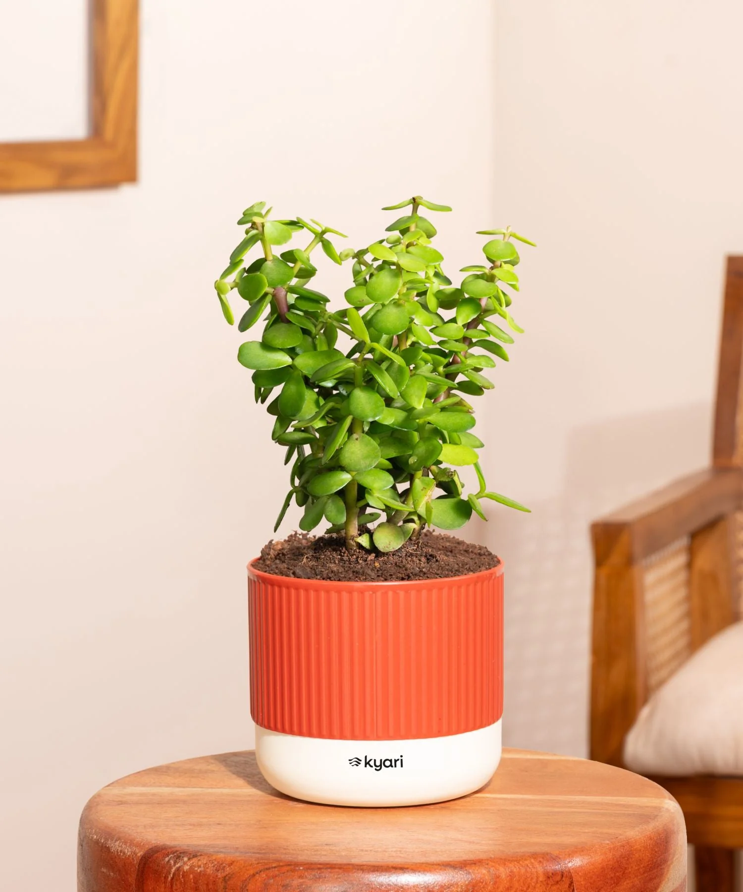 Thumbnail 94